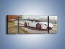 Obraz na płótnie – Lamborghini Gallardo Vellano Wheels – trzyczęściowy TM157W5