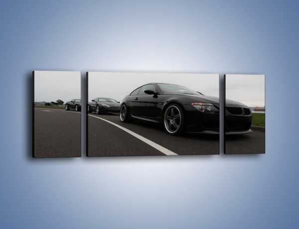 Obraz na płótnie – Luksusowe samochody na drodze – trzyczęściowy TM179W5