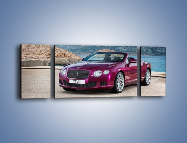 Obraz na płótnie – Bentley Continental Speed GT – trzyczęściowy TM187W5