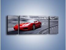 Obraz na płótnie – Ferrari F439 – trzyczęściowy TM195W5