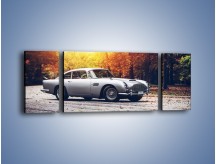 Obraz na płótnie – Aston Martin DB5 – trzyczęściowy TM208W5