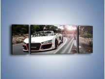 Obraz na płótnie – Audi R8 V10 Spyder – trzyczęściowy TM209W5