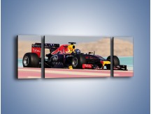 Obraz na płótnie – F1 Infiniti Red Bull – trzyczęściowy TM241W5