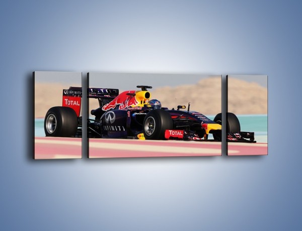 Obraz na płótnie – F1 Infiniti Red Bull – trzyczęściowy TM241W5