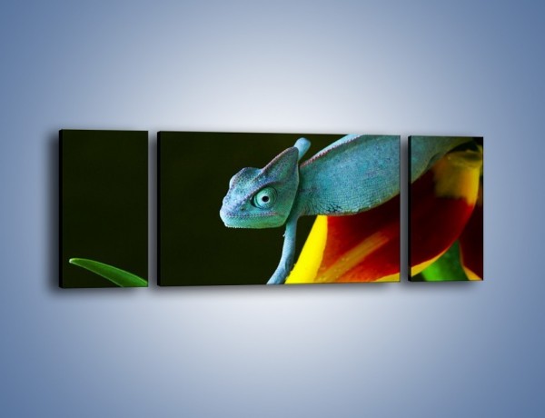 Obraz na płótnie – Liść w łapce kameleona – trzyczęściowy Z005W5