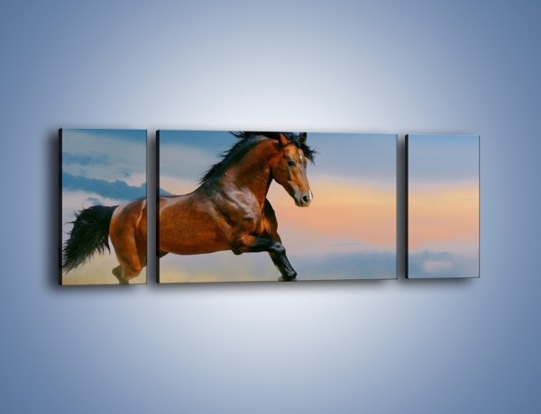 Obraz na płótnie – Brązowy koń na pustyni – trzyczęściowy Z011W5
