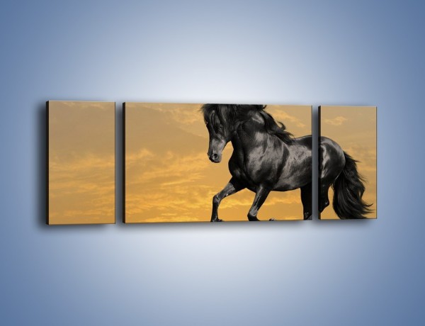 Obraz na płótnie – Bieg z koniem po polanie – trzyczęściowy Z057W5