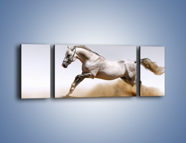 Obraz na płótnie – Srebrny koń w galopie – trzyczęściowy Z062W5