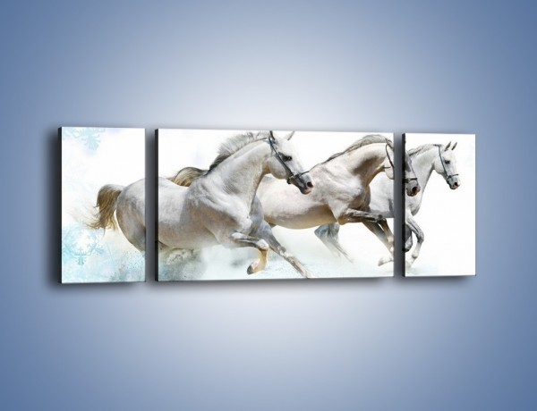 Obraz na płótnie – Końskie trio w zimowym pędzie – trzyczęściowy Z063W5