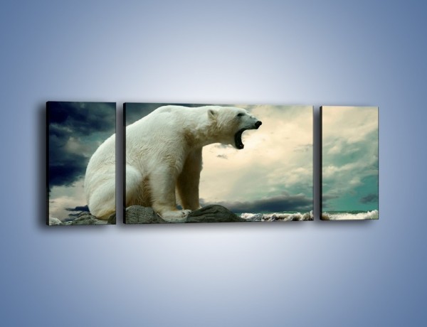 Obraz na płótnie – Donośny krzyk polarnego niedźwiedzia – trzyczęściowy Z114W5