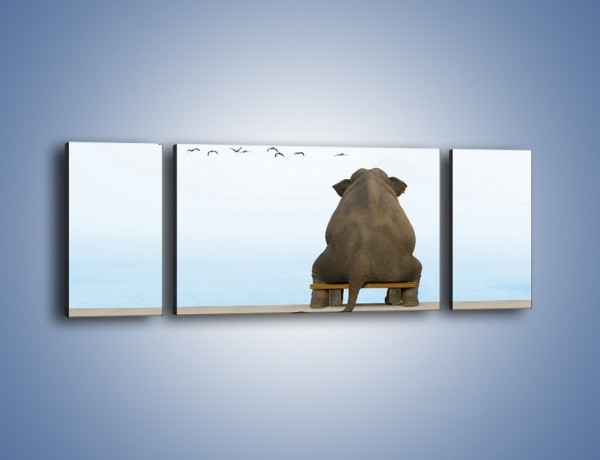 Obraz na płótnie – Przemyślenia słonia w samotności – trzyczęściowy Z120W5