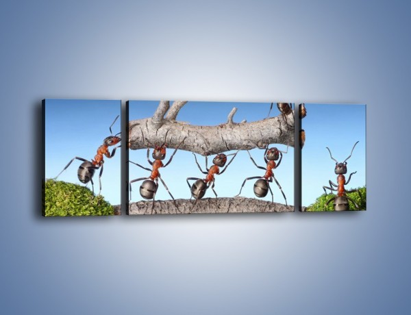 Obraz na płótnie – Pracowite jak mróweczki – trzyczęściowy Z133W5