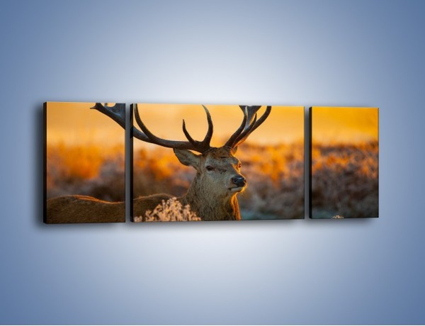 Obraz na płótnie – Ciężkie poroże jelenia – trzyczęściowy Z165W5