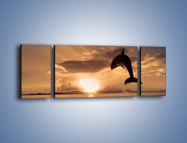 Obraz na płótnie – Z delfinem w stronę zachodzącego słońca – trzyczęściowy Z170W5