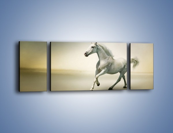 Obraz na płótnie – Samotny wieczór z białym koniem – trzyczęściowy Z175W5