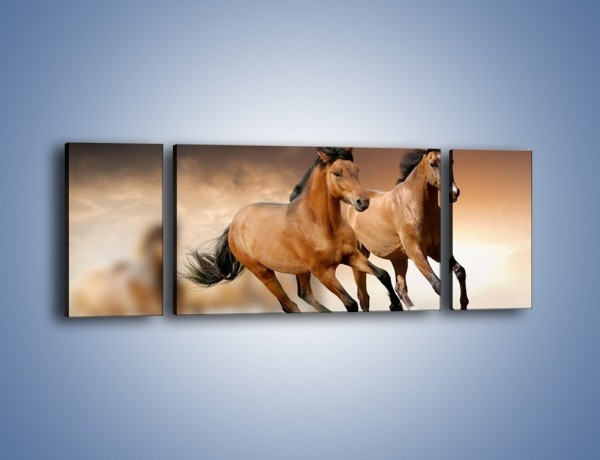 Obraz na płótnie – Uciec na koniu przed burzą – trzyczęściowy Z180W5