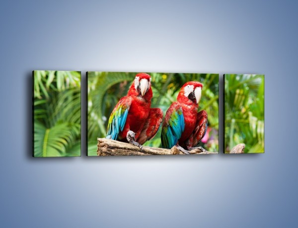 Obraz na płótnie – Papużki nierozłączki – trzyczęściowy Z188W5