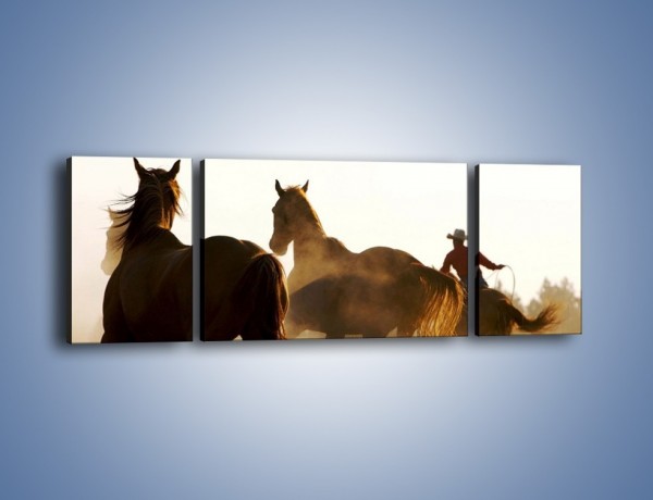 Obraz na płótnie – Cowboy wśród koni – trzyczęściowy Z206W5