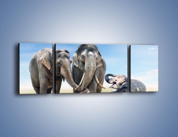 Obraz na płótnie – Przebij łapę ze słoniątkiem – trzyczęściowy Z208W5