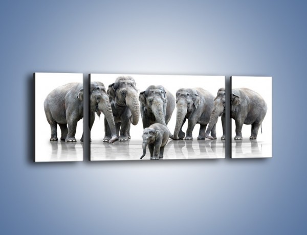Obraz na płótnie – Na przyjęciu u słoniątka – trzyczęściowy Z209W5