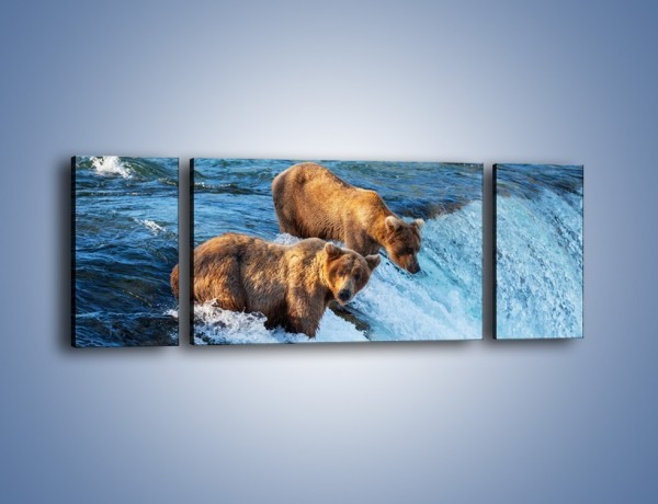 Obraz na płótnie – Niedźwiedzie na zjeżdżalni – trzyczęściowy Z213W5