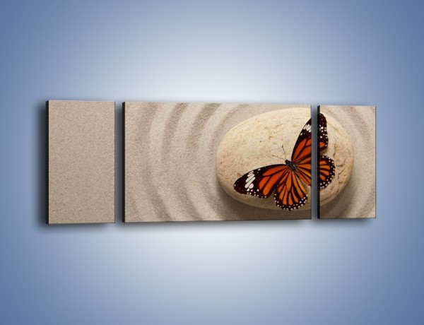 Obraz na płótnie – Spoczynek motyla na kamieniu – trzyczęściowy Z224W5