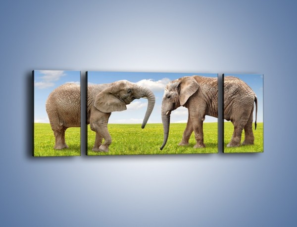 Obraz na płótnie – Poważne rozmowy słoni – trzyczęściowy Z228W5