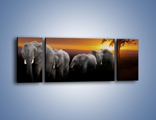 Obraz na płótnie – Powrót słoni do domu – trzyczęściowy Z229W5