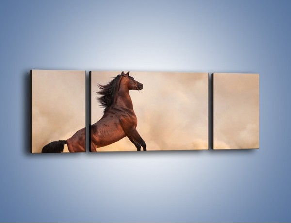 Obraz na płótnie – Koń na warcie – trzyczęściowy Z234W5