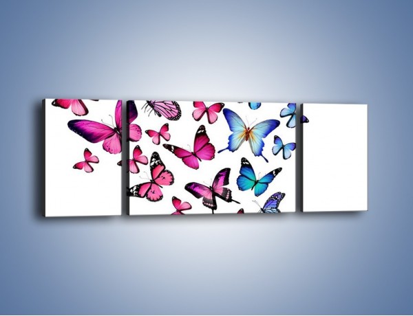 Obraz na płótnie – Rodzina kolorowych motyli – trzyczęściowy Z235W5