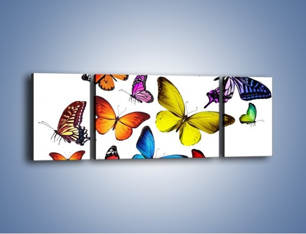 Obraz na płótnie – Kolorowo wśród motyli – trzyczęściowy Z236W5