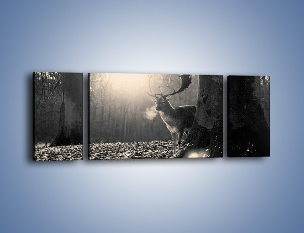 Obraz na płótnie – Jeleń w sepii – trzyczęściowy Z250W5