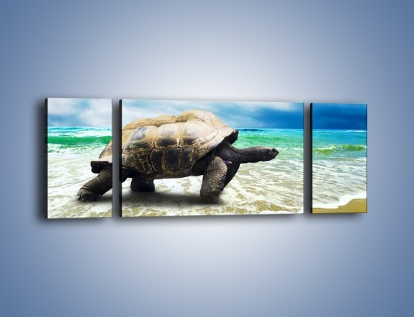 Obraz na płótnie – Jak tu nie kochać żółwi – trzyczęściowy Z251W5