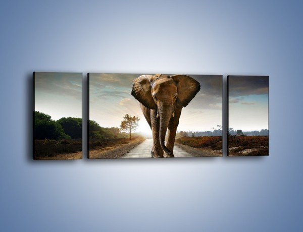 Obraz na płótnie – Słoń w poszukiwaniu rodziny – trzyczęściowy Z256W5