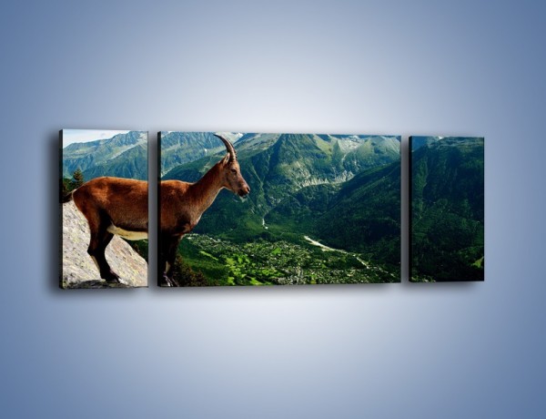 Obraz na płótnie – Kozica w górskiej panoramie – trzyczęściowy Z260W5