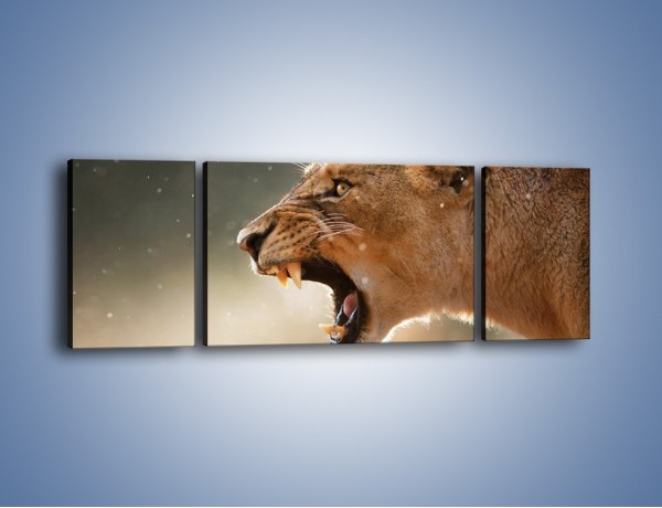 Obraz na płótnie – Ostrzeżenie lwiej samicy – trzyczęściowy Z299W5