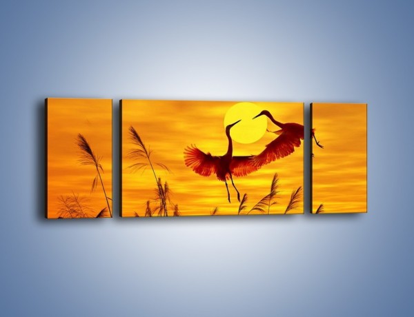 Obraz na płótnie – Czaple i zachód słońca – trzyczęściowy Z302W5