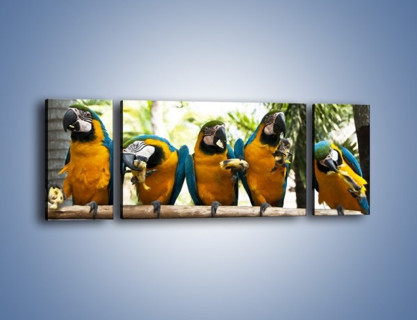Obraz na płótnie – Piknik z papugami – trzyczęściowy Z322W5