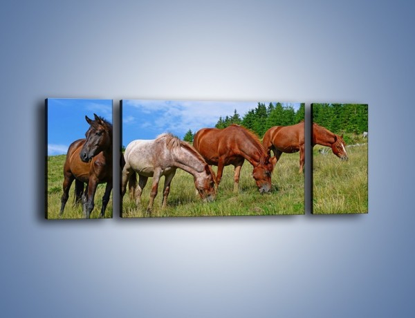 Obraz na płótnie – Spokój las i konie – trzyczęściowy Z330W5