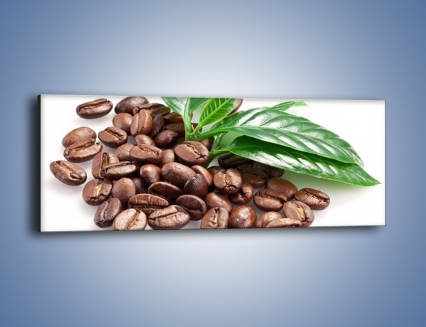 Obraz na płótnie – Kawa wśród zieleni – jednoczęściowy panoramiczny JN418