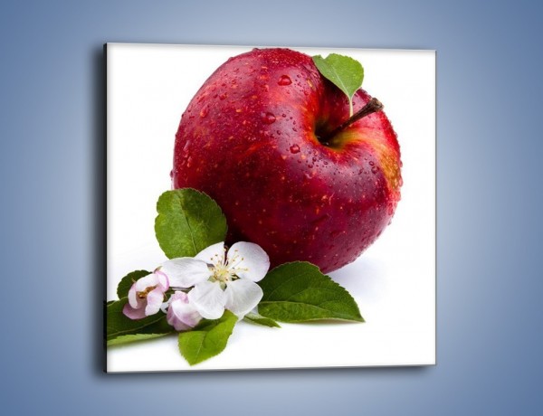 Obraz na płótnie – Polskie zdrowe jabłko – jednoczęściowy kwadratowy JN102
