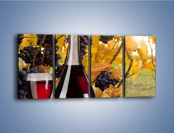 Obraz na płótnie – Wino wśród winogron – czteroczęściowy JN007W1