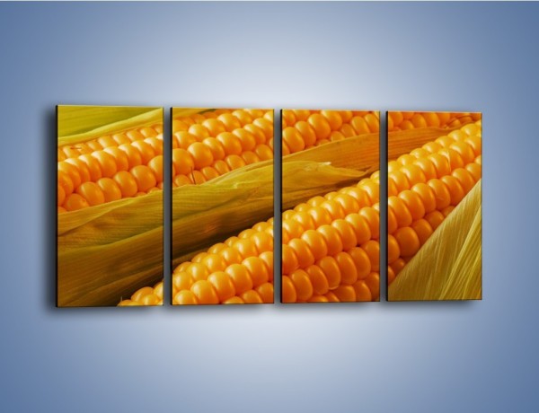 Obraz na płótnie – Kolby dojrzałych kukurydz – czteroczęściowy JN046W1