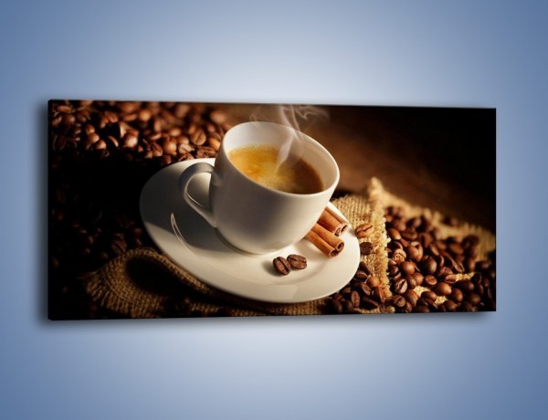Obraz na płótnie – Historia dwóch ziarenek kawy – jednoczęściowy panoramiczny JN479
