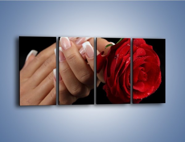 Obraz na płótnie – Kwiat róży w kobiecych dłoniach – czteroczęściowy K006W1