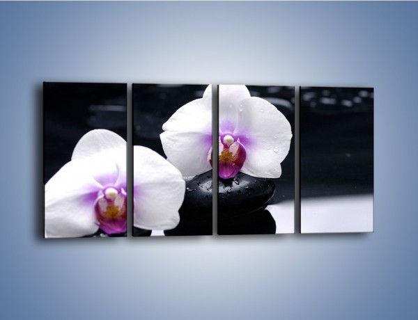 Obraz na płótnie – Główki białych storczyków – czteroczęściowy K024W1