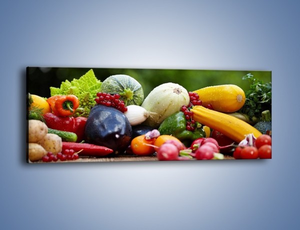 Obraz na płótnie – Warzywa na ogrodowym stole – jednoczęściowy panoramiczny JN483