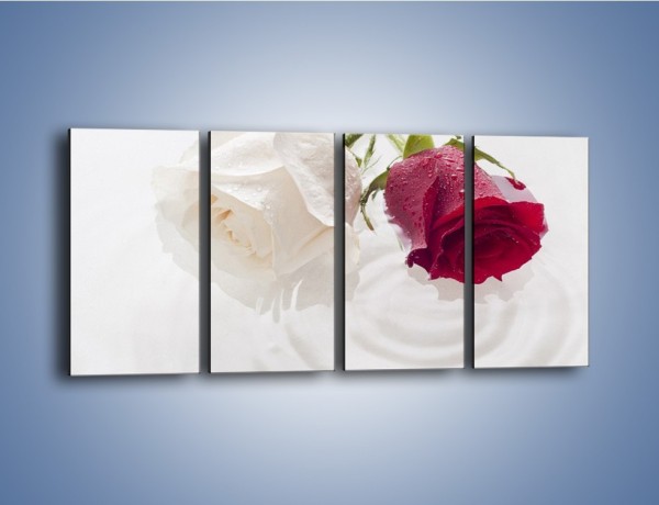 Obraz na płótnie – Róża biała czy czerwona – czteroczęściowy K077W1