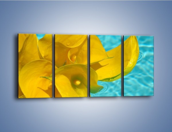 Obraz na płótnie – Żółte kalie na wodzie – czteroczęściowy K082W1