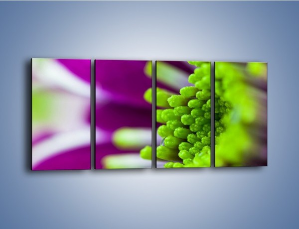 Obraz na płótnie – Kwiat fioletowo-zielony w słońcu – czteroczęściowy K099W1